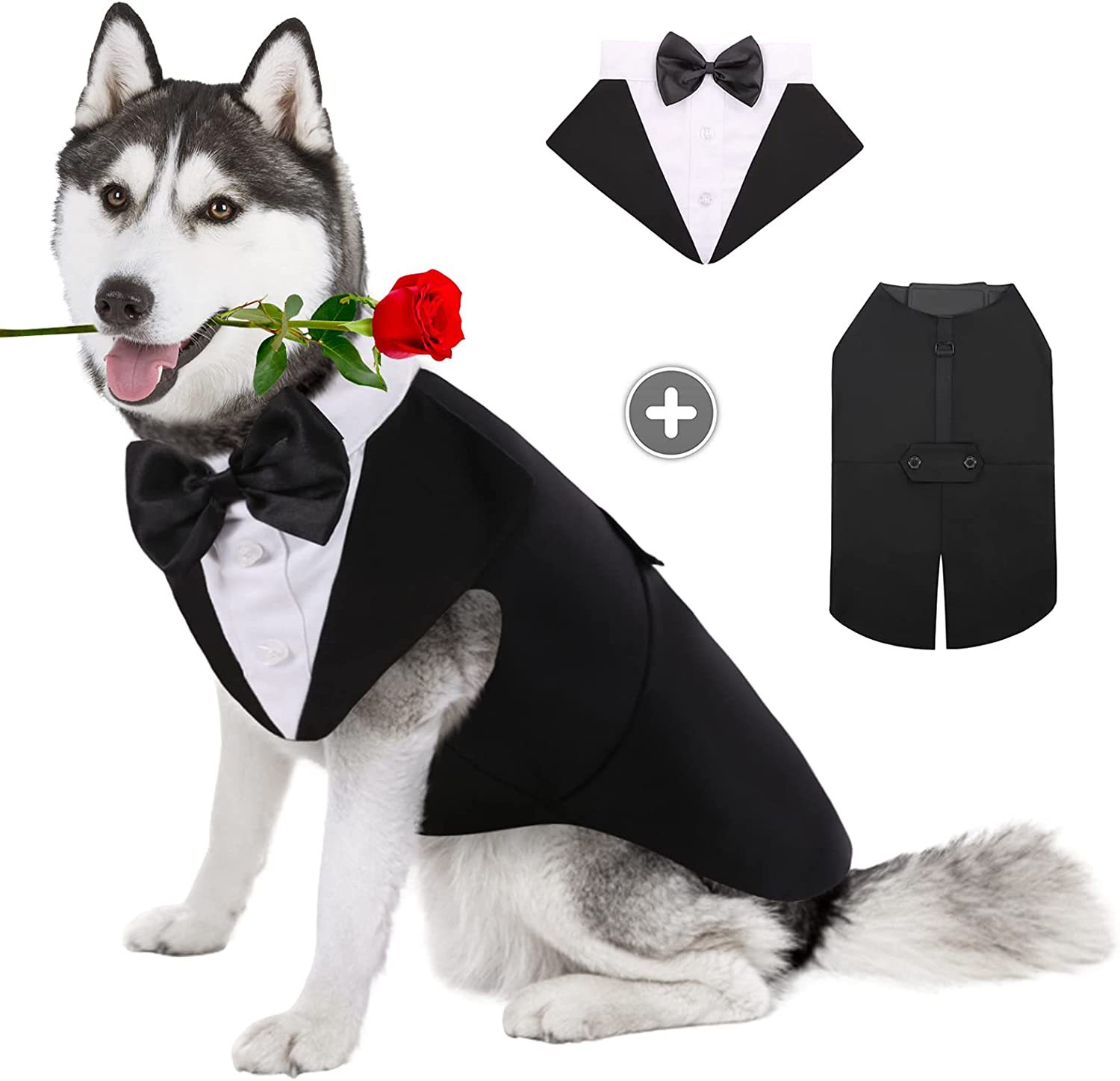 Suit Supply Wedding Party - Cho Thú Cưng Quần Áo Thời