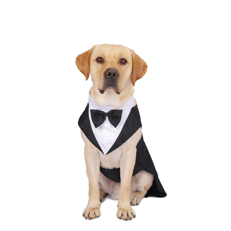 Cho Thú Cưng Quần Áo Thời Tran - đánh giá và giá Suit Supply Wedding Party